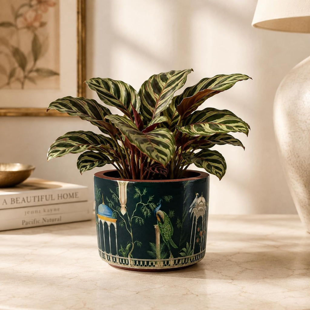 Artha Living Decorative Peacock Garden Terracotta Planter with Drainage Hole | 10.5 cm Artistic Indoor Plant Pot
