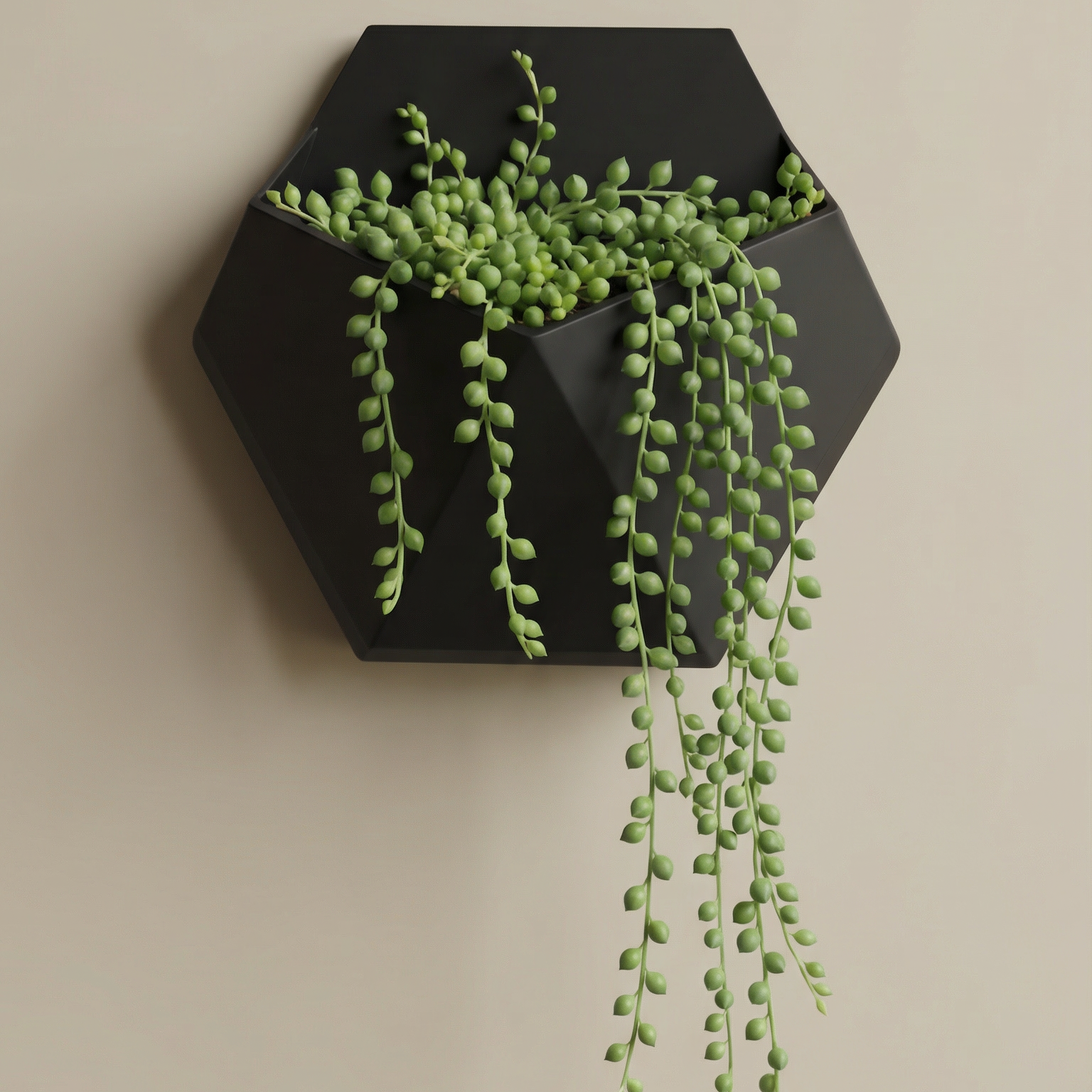 Hexa Wall Planter – Matte Black