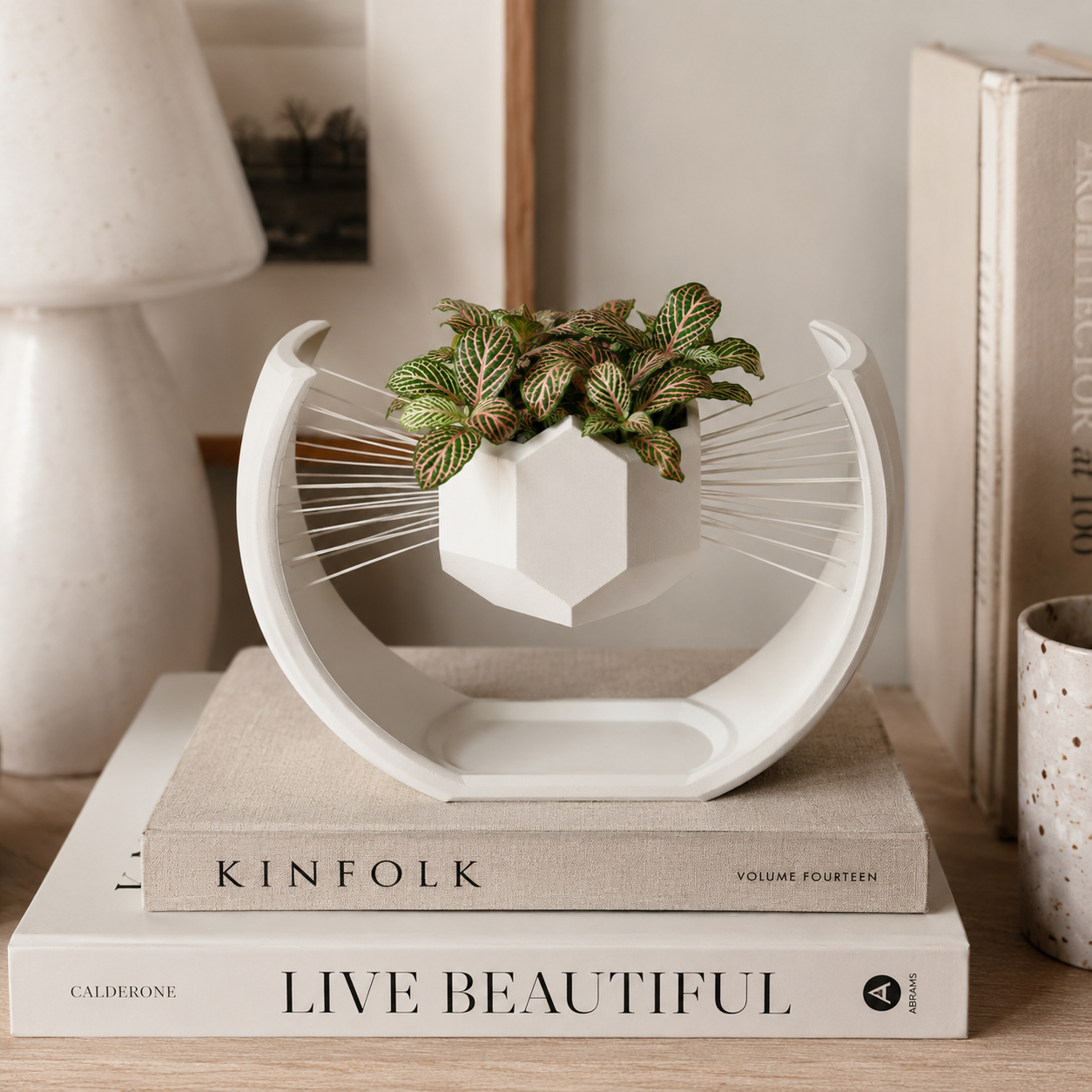 Floating Moon Bonsai Planter | Modern 3D Printed Geometric Hanging Planter for Succulents, Bonsai & Indoor Plants