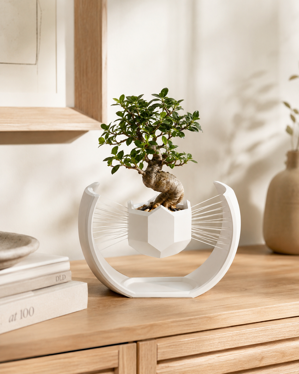 Floating Moon Bonsai Planter | Modern 3D Printed Geometric Hanging Planter for Succulents, Bonsai & Indoor Plants