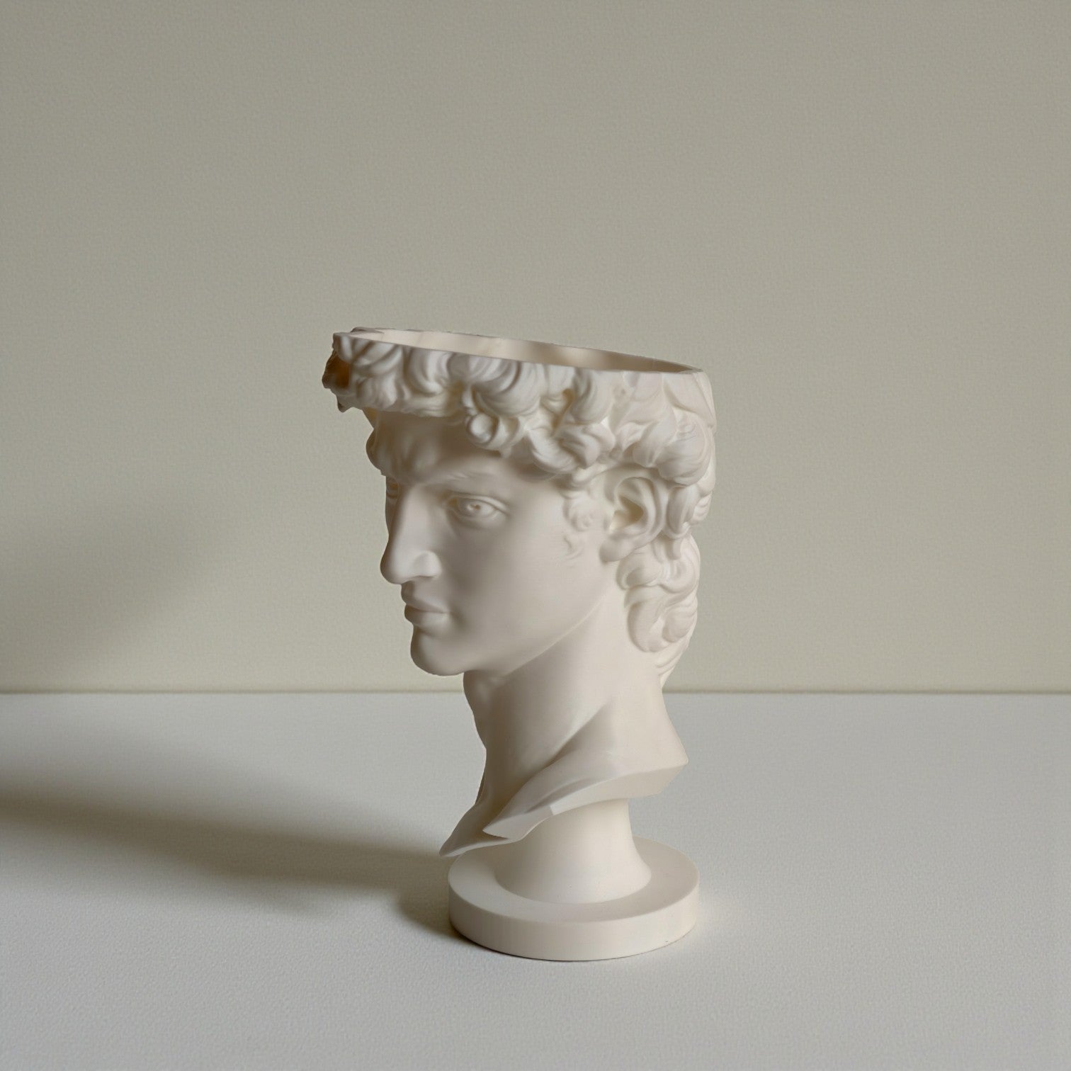 David Bust Planter – Classic Art-Inspired 3D Printed Planter (includes drainage holes and collection unit)