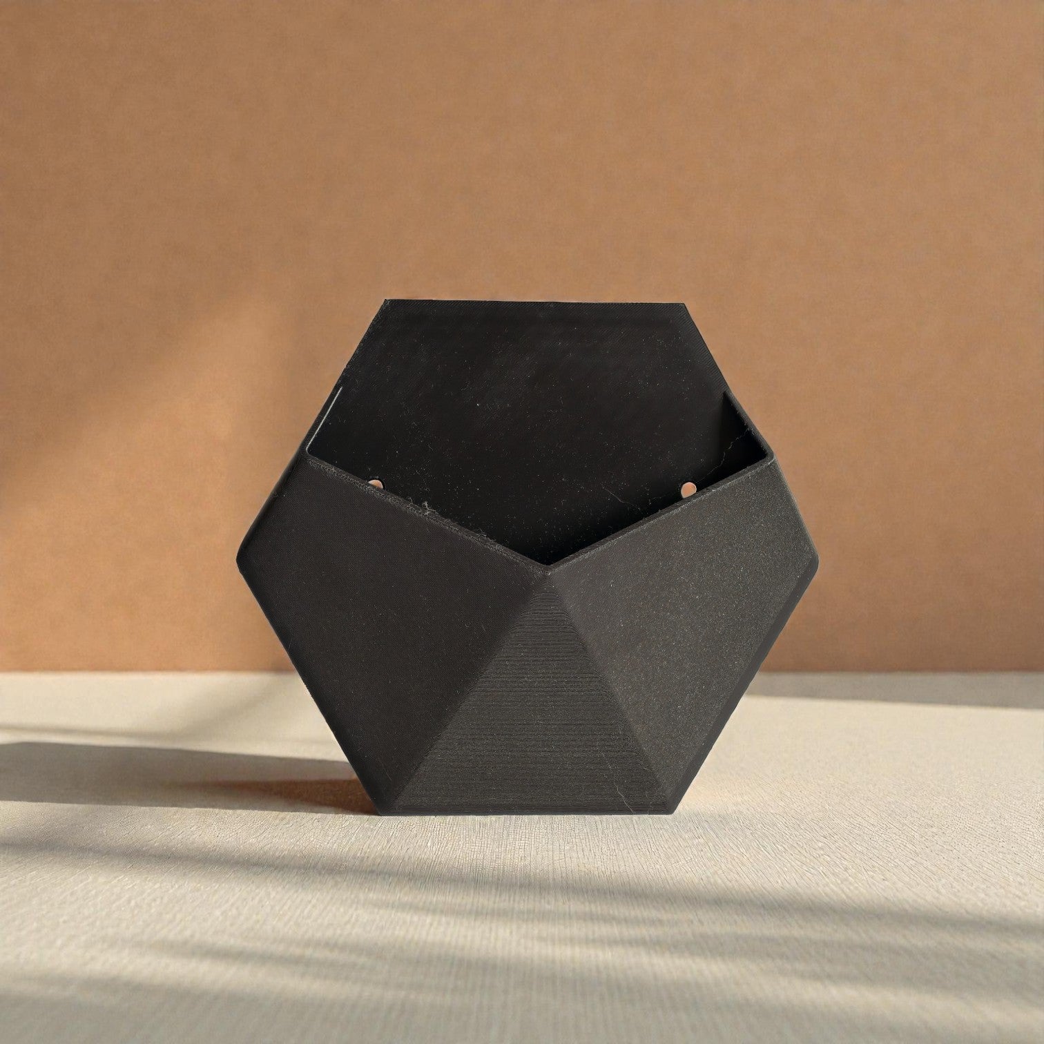 Hexa Wall Planter – Matte Black