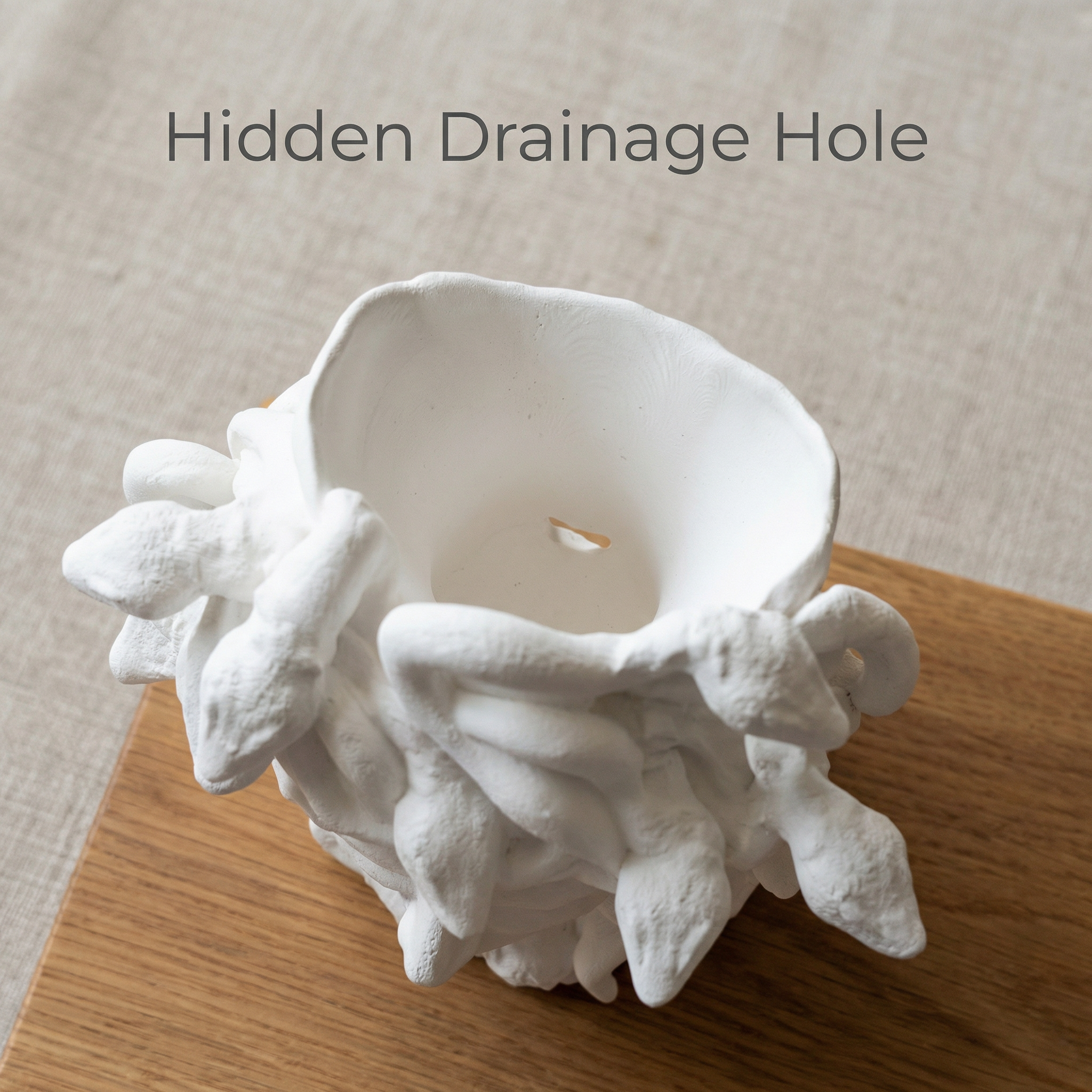 3D Printed Medusa Planter | Sculptural Indoor Planter with Hidden Drainage Hole