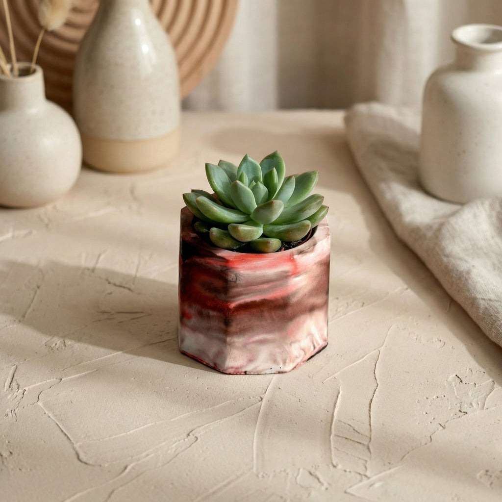 Mini Jesmonite Planter 3 in 1 Set | Handcrafted Small Planters for Succulents & Indoor Plants