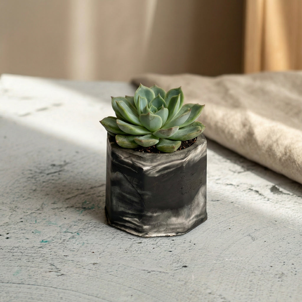 Mini Jesmonite Planter 3 in 1 Set | Handcrafted Small Planters for Succulents & Indoor Plants