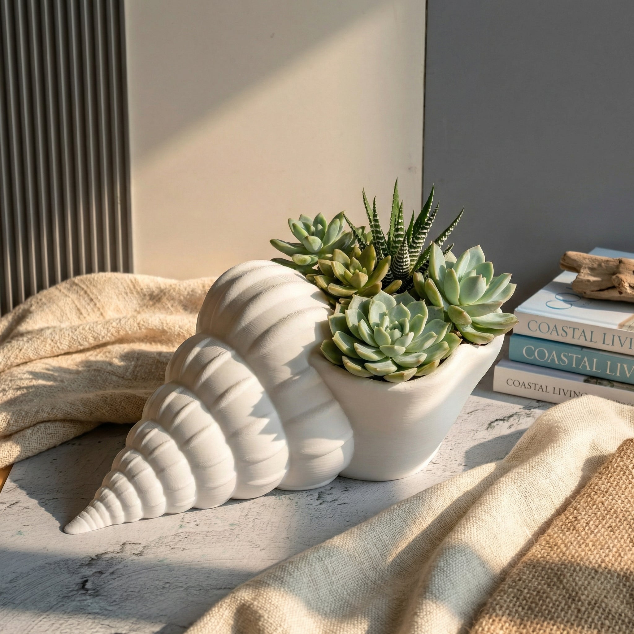 3D Printed Seashell Planter | Modern Coastal Succulent & Indoor Plant Pot | Minimal Aesthetic Home Décor
