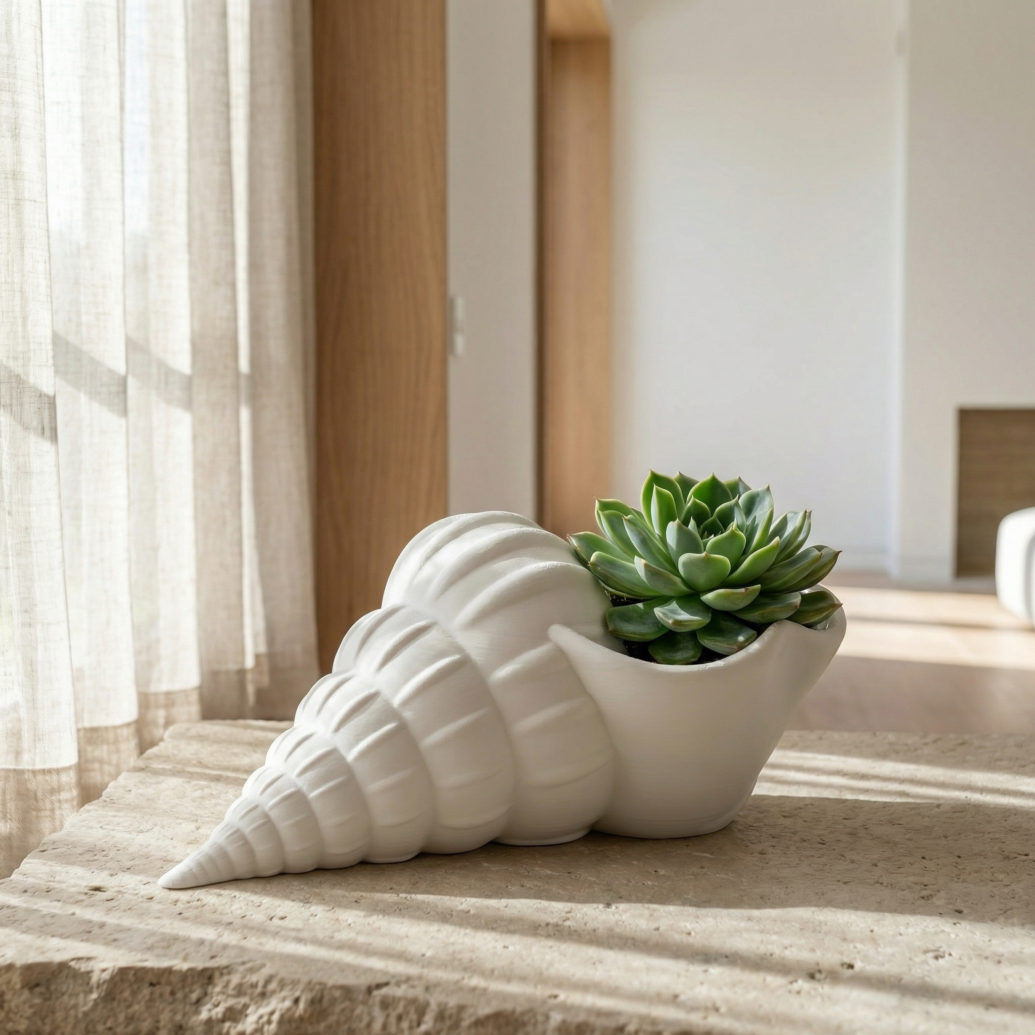 3D Printed Seashell Planter | Modern Coastal Succulent & Indoor Plant Pot | Minimal Aesthetic Home Décor