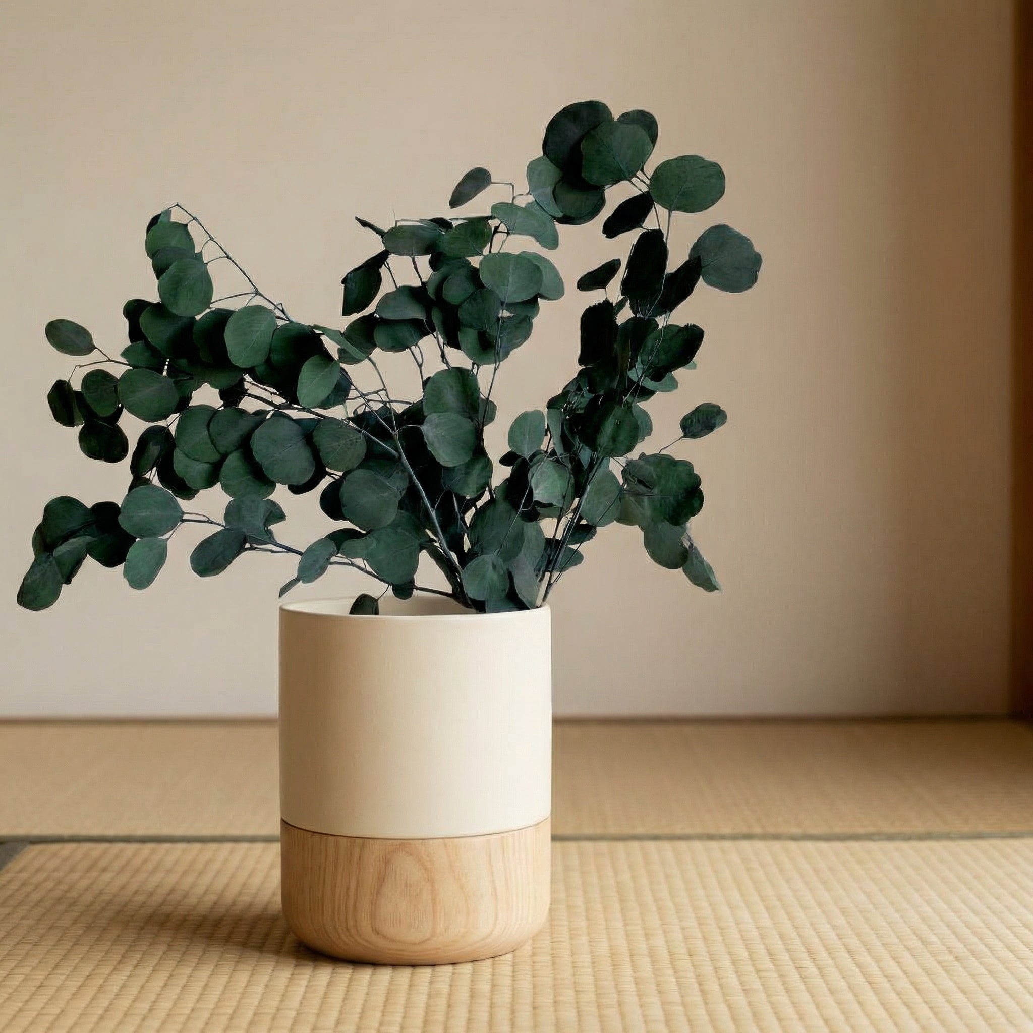 Real Dried Eucalyptus Bunch – Natural Preserved Eucalyptus Stems for Minimal Home Decor | Premium Dry Flowers